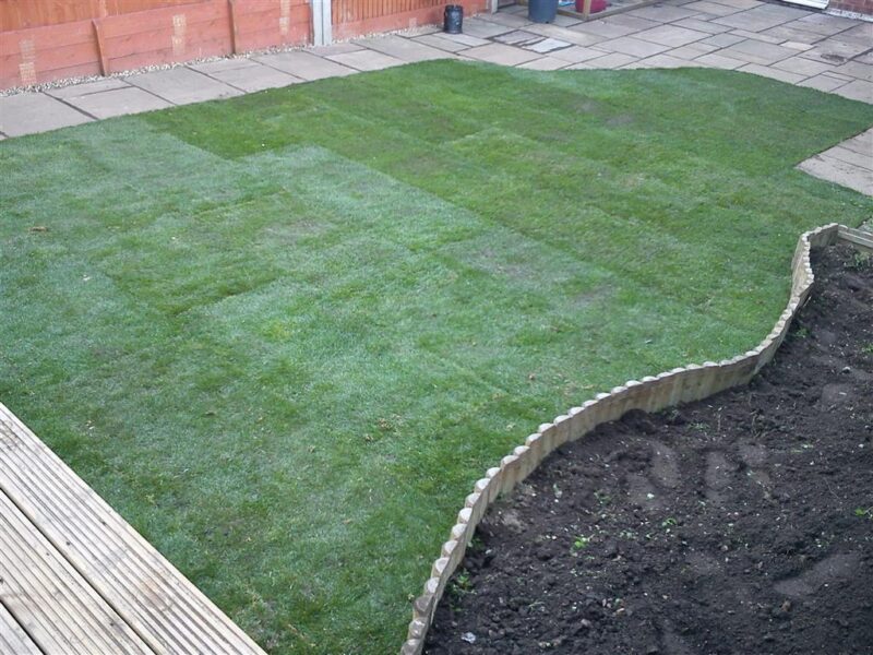 Lawn Turfing